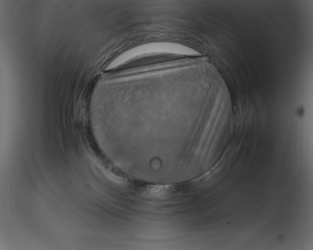 X0000116580136200912312022