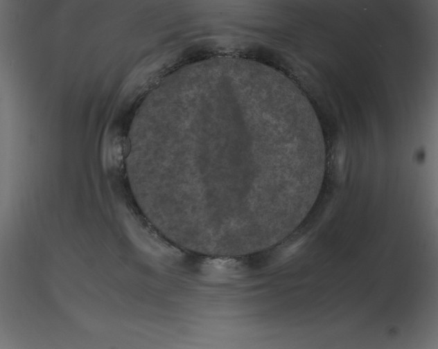 X0000116580137200912312022