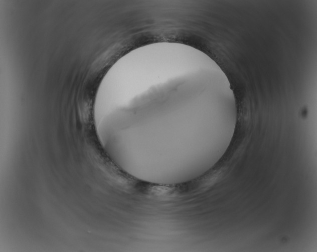 X0000116580139200912312022