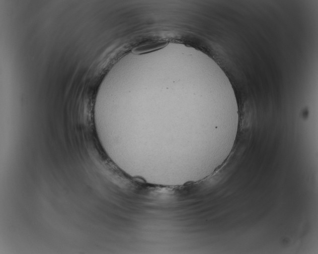 X0000116580140200912312022