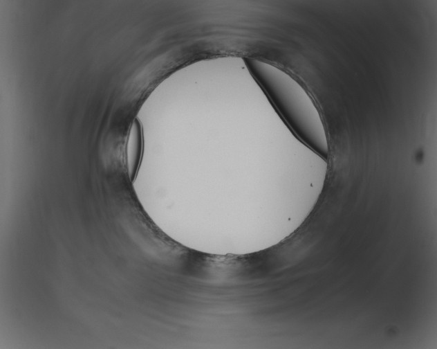 X0000116580141200912312022