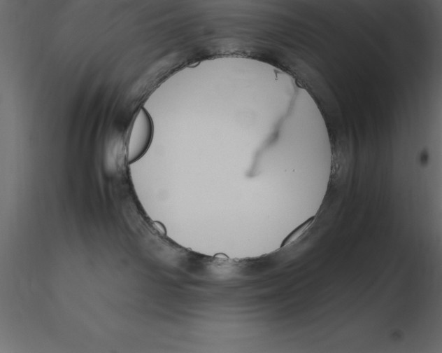 X0000116580142200912312022
