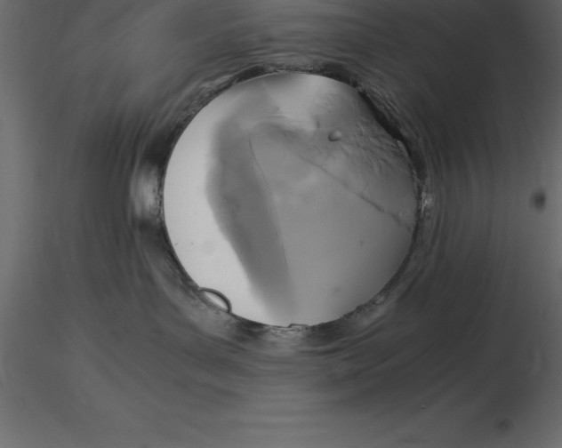 X0000116580143200912312022