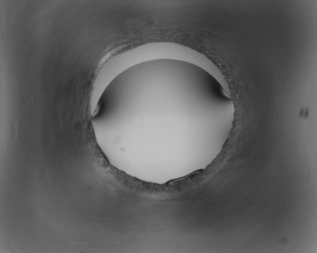 X0000116580144200912312022