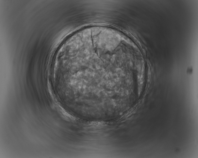 X0000116580145200912312022