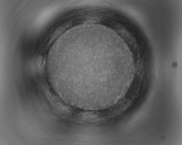 X0000116580146200912312022