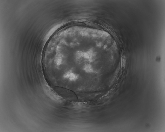 X0000116580147200912312022