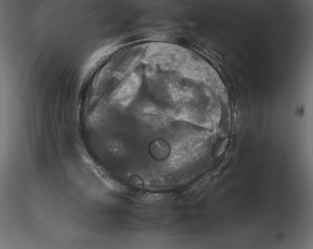 X0000116580149200912312022