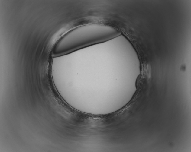 X0000116580150200912312022