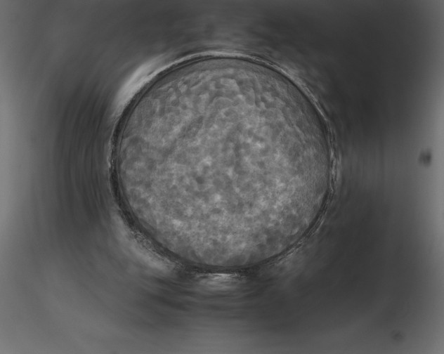 X0000116580151200912312022