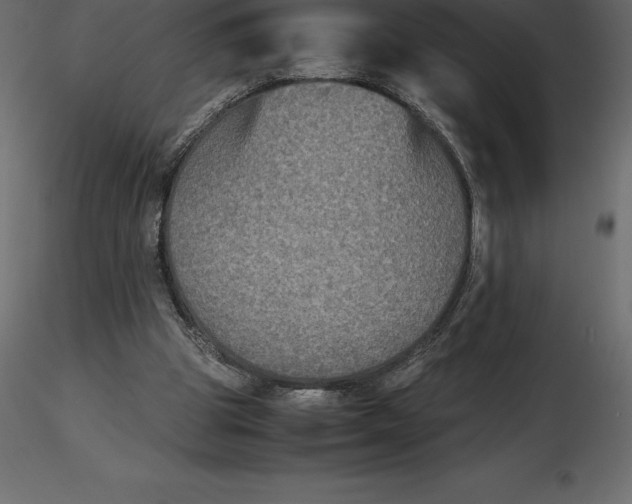 X0000116580153200912312022