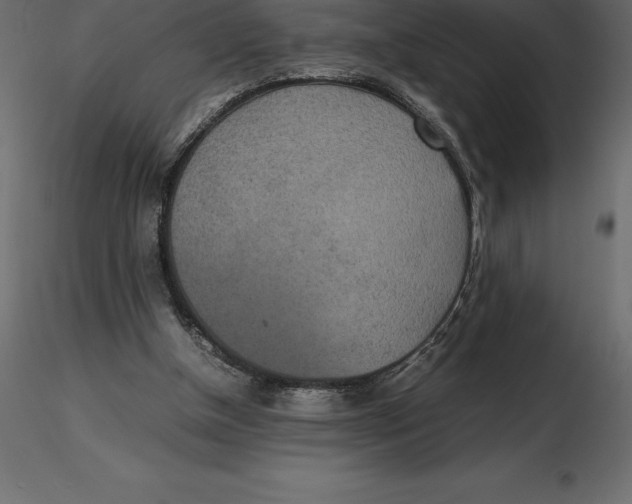 X0000116580154200912312022
