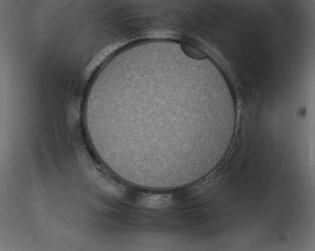 X0000116580155200912312022