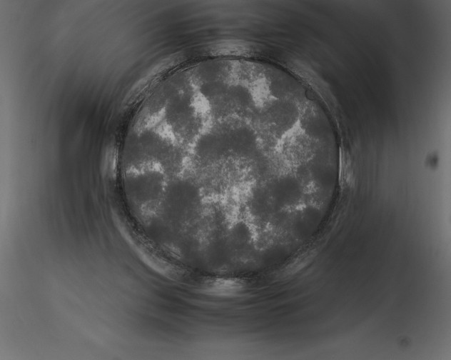 X0000116580157200912312022