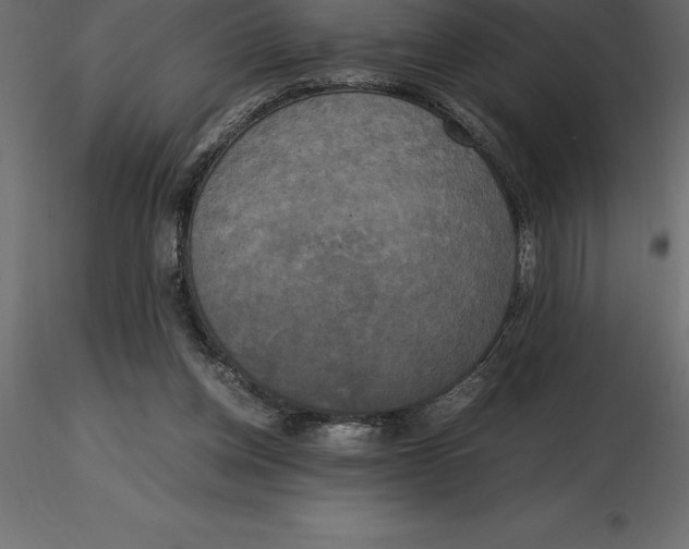 X0000116580158200912312022