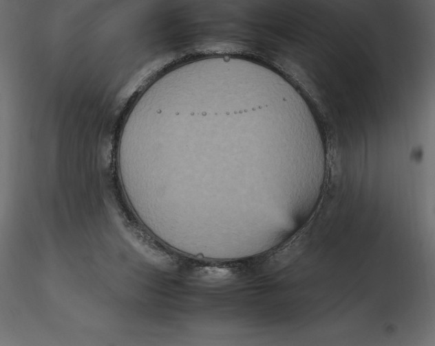 X0000116580159200912312022