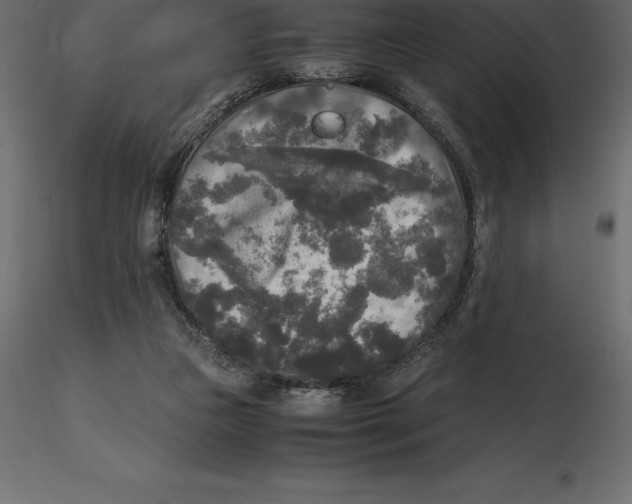 X0000116580161200912312022