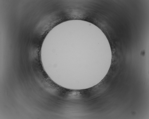 X0000116580162200912312022