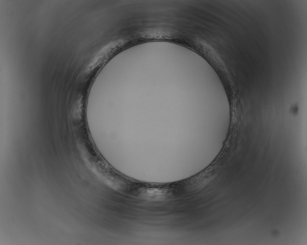 X0000116580163200912312022
