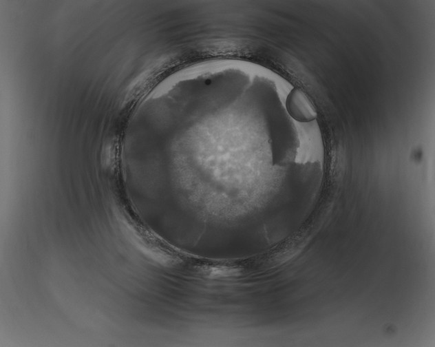 X0000116580165200912312022