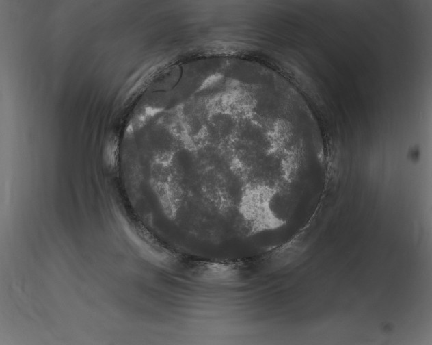 X0000116580166200912312022