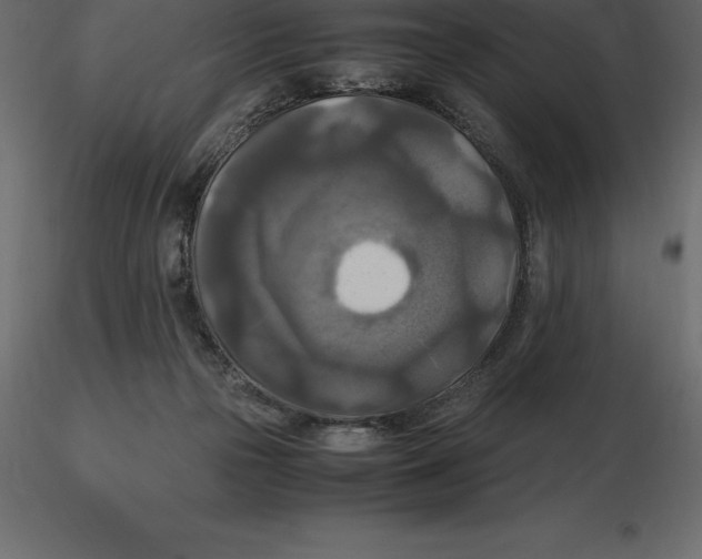 X0000116580169200912312022