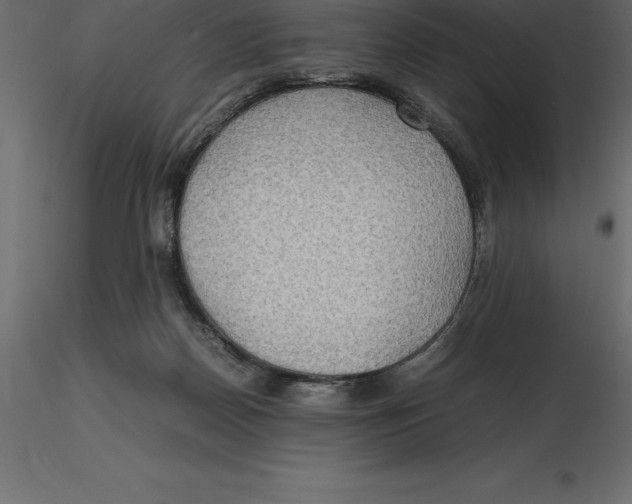 X0000116580170200912312022