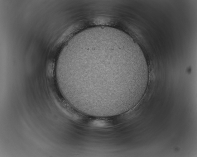 X0000116580171200912312022