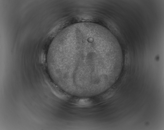 X0000116580173200912312022