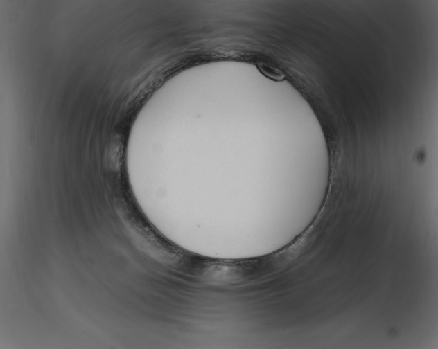 X0000116580174200912312022