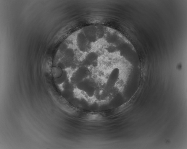X0000116580175200912312022