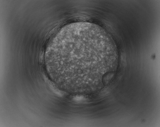 X0000116580177200912312022
