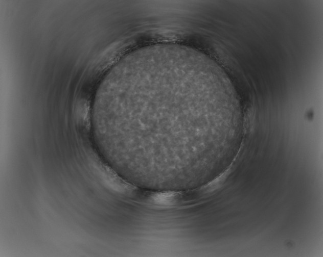 X0000116580178200912312022