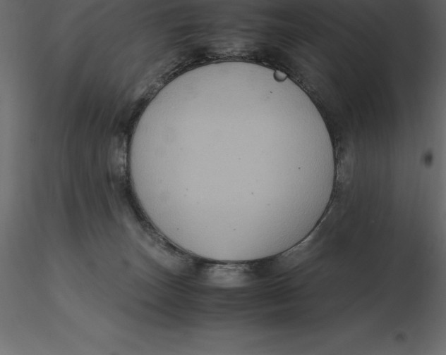 X0000116580179200912312022