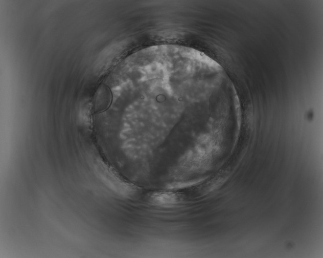 X0000116580181200912312022