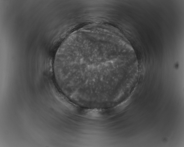 X0000116580182200912312022
