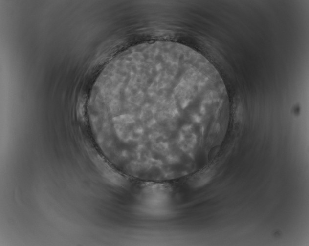 X0000116580185200912312022