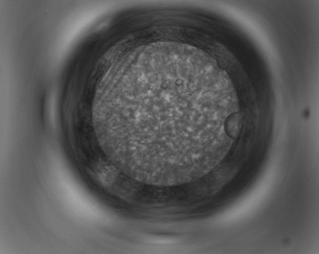 X0000116580189200912312022