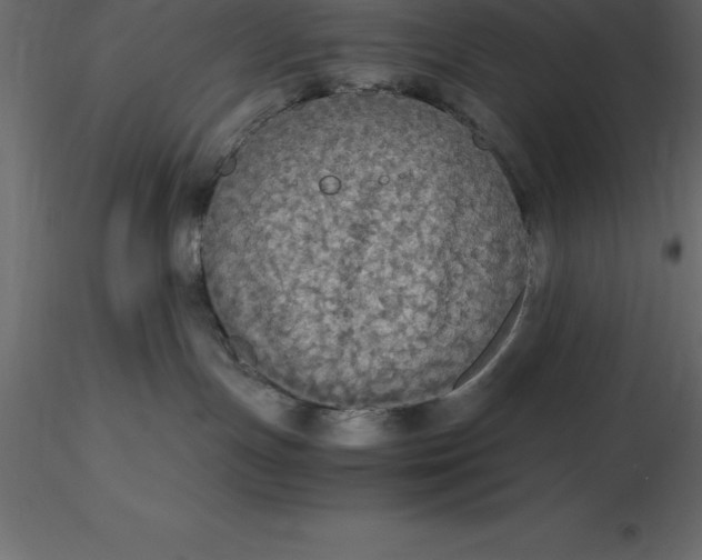 X0000116580191200912312022
