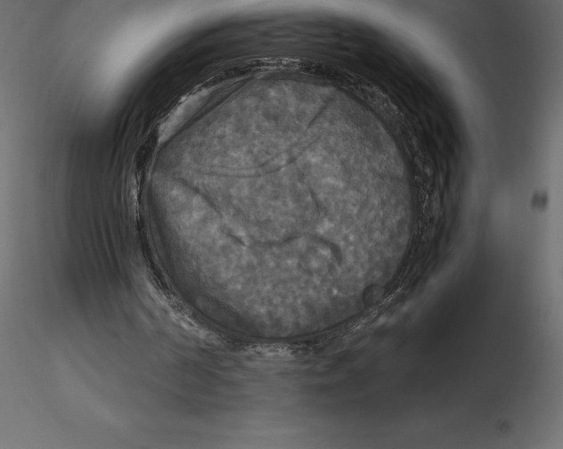 X0000116580194200912312022