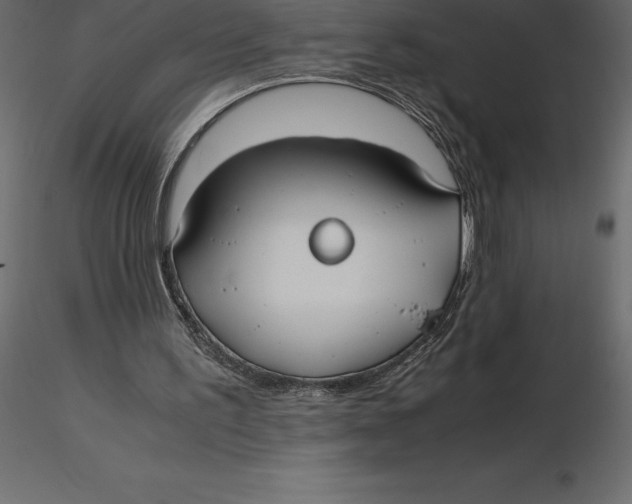 X0000116580195200912312022