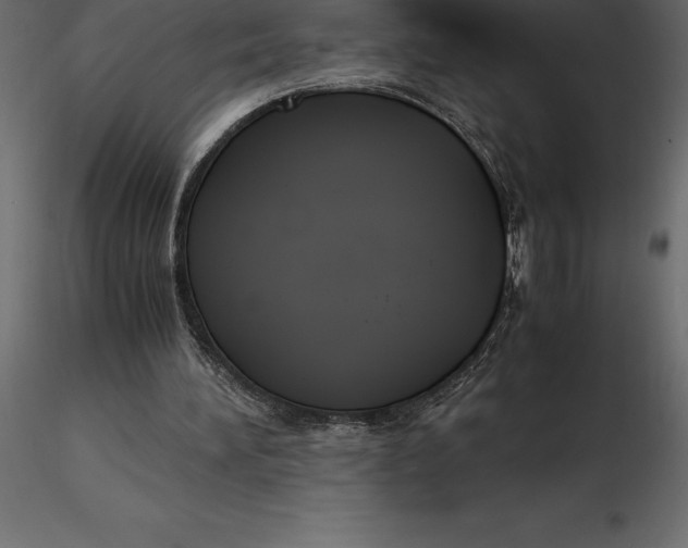 X0000116580196200912312022