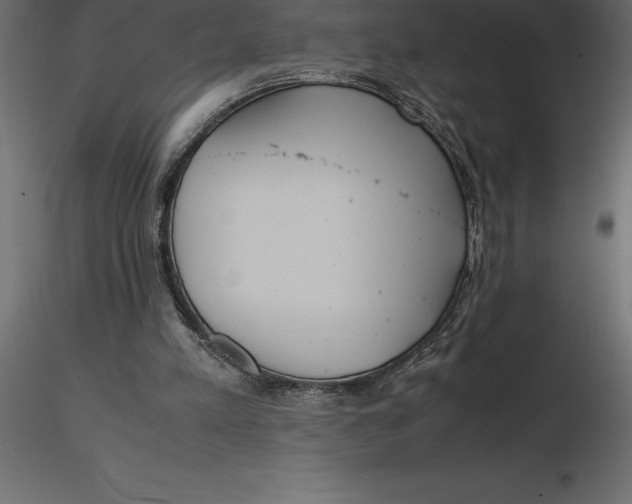 X0000116580197200912312022