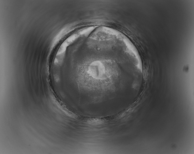 X0000116580198200912312022