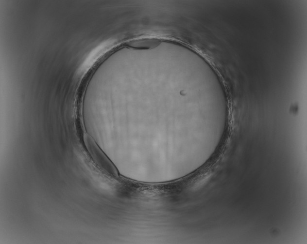 X0000116580199200912312021