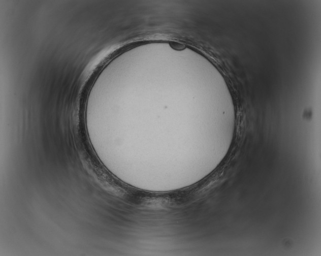 X0000116580200200912312021