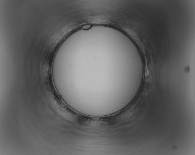 X0000116580201200912312021