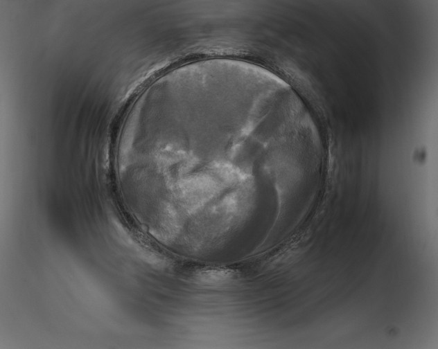 X0000116580202200912312021