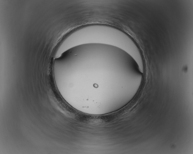 X0000116580203200912312021