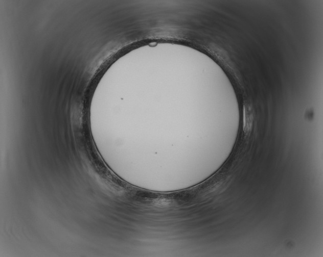 X0000116580204200912312021